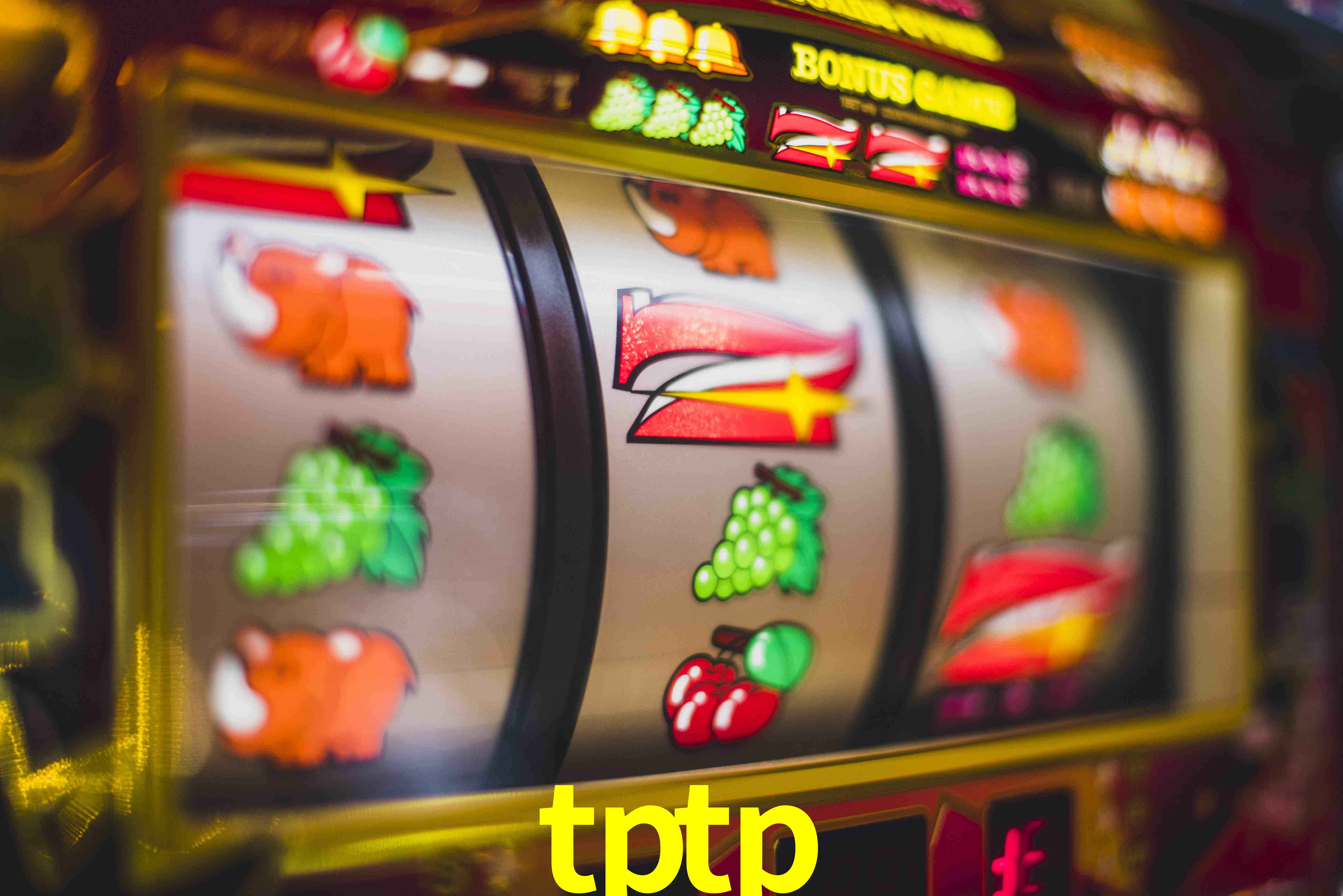 Basketball Betting tptp